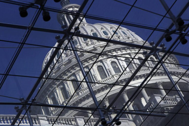 AI Industry Uses Light Pressure to Educate Congress on Business Perspective 8268632d19a6a5c246b6eab8bc8a0e3a.jpeg