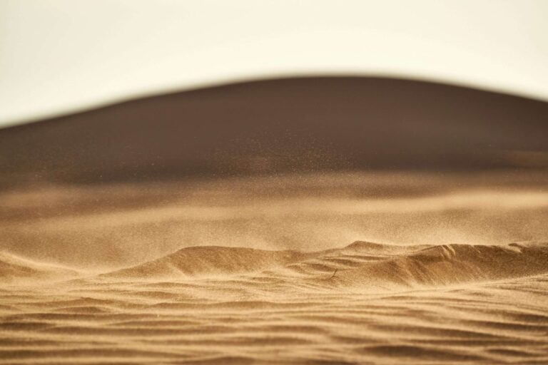 Fintech Sandbox Data Partners: 7 Powerful 2025 Wins Fintech Sandbox data partners providing free datasets to early-stage startups across the global Data Access Residency program